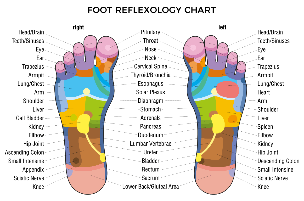 Reflexology Foot Map